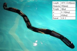 螺旋捻転遊泳装置HELIX