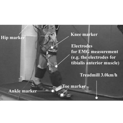 ヒト歩行動作の運動要素分解
